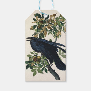 Vintage Audubon Korp Fågel Natur Konst Presentetikett