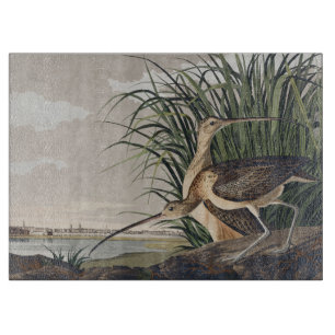 Vintage Audubon Långnäbbad Spov Fågelkonst