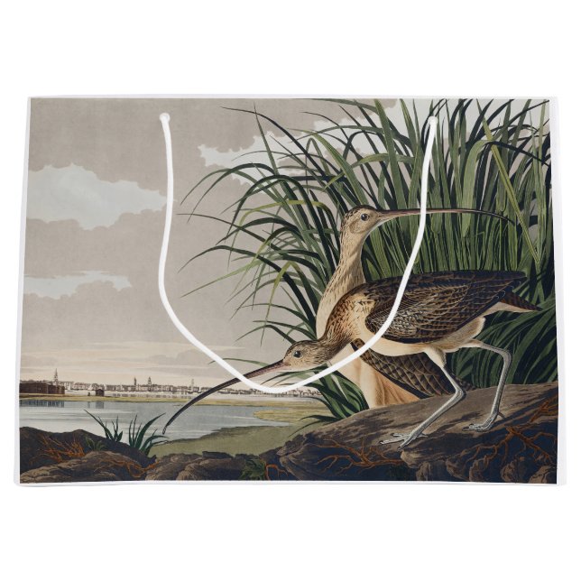 Vintage Audubon Långnäbbad Spov Fågelkonst (Framsidan)