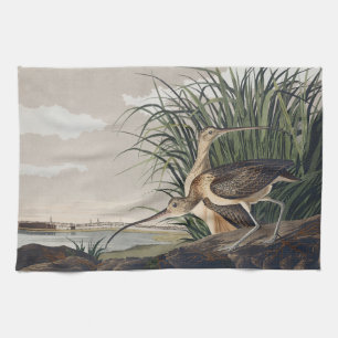 Vintage Audubon Långnäbbad Spov Fågelkonst Kökshandduk