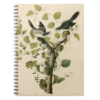 Vintage Audubon Loggerhead Shrike Painting Gift Anteckningsbok