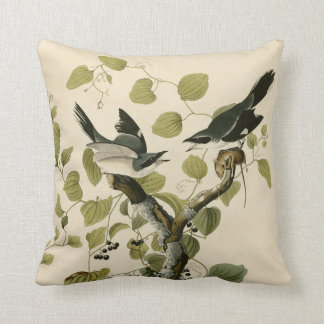 Vintage Audubon Loggerhead Shrike Painting Gift Kudde