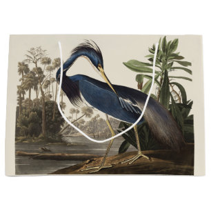 Vintage Audubon Louisiana Heron Fågelkonst
