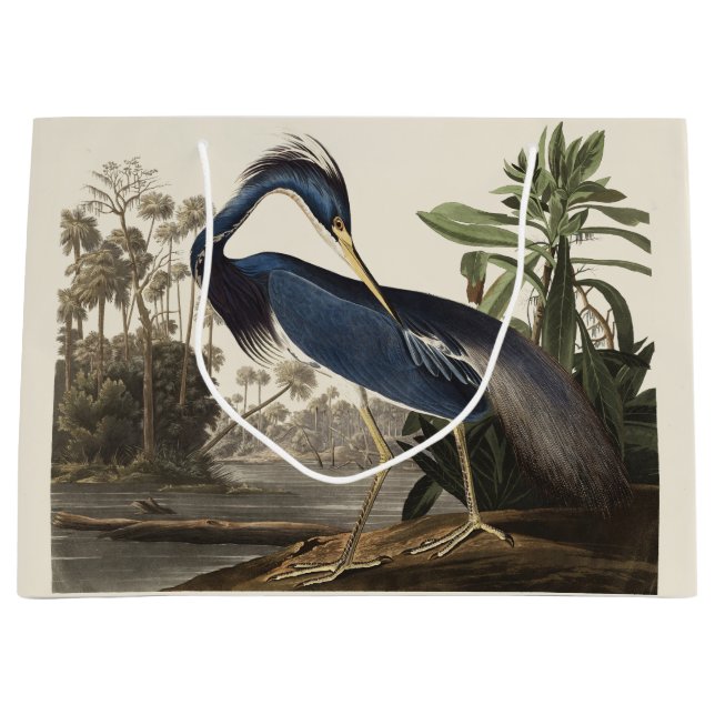 Vintage Audubon Louisiana Heron Fågelkonst (Framsidan)