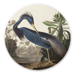 Vintage Audubon Louisiana Heron Fågelkonst Knopp