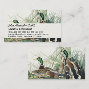 Vintage Audubon-Mallardand Wildlife Art Visitkort