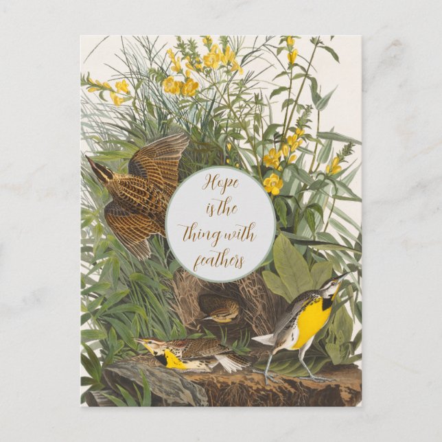 Vintage Audubon Meadowlark Print Vykort (Framsida)