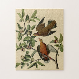 Vintage Audubon Mourning Dove Bird Painting Gift Pussel