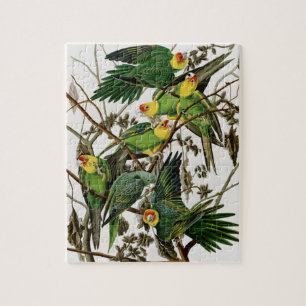 Vintage Audubon Painting Carolina Parakeet Pussel