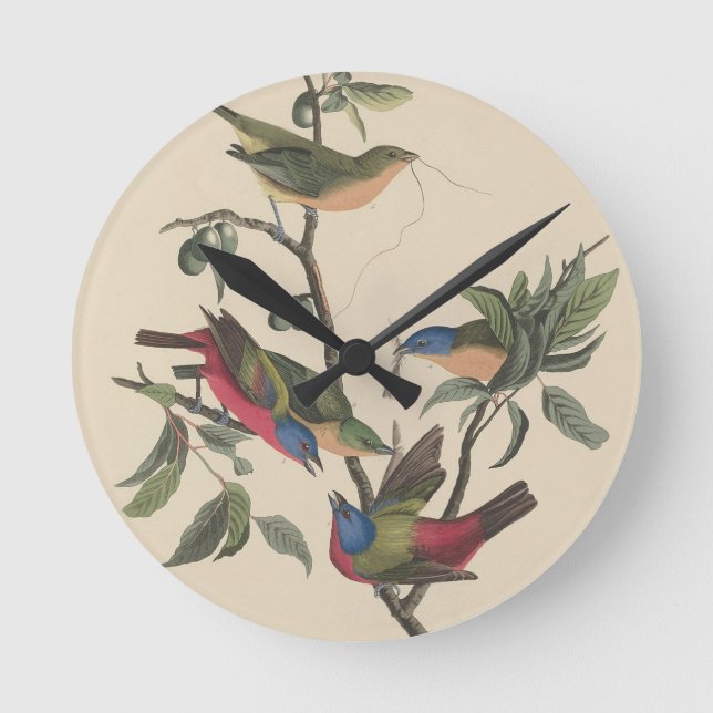 Vintage Audubon Praktfink Målad Fink Fågelkonst Rund Klocka (Framsida)