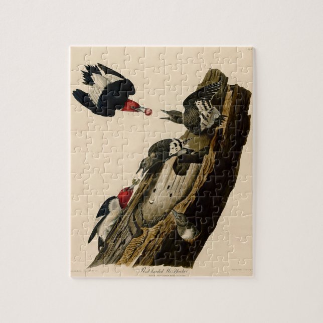 Vintage Audubon Red-Headed Woodpecker-målning Pussel (Vertikal)