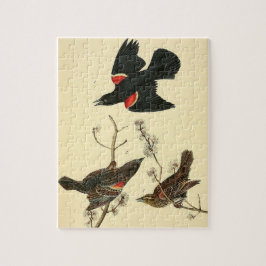 Vintage Audubon Red-Winged Blackbird Painting Gift Pussel