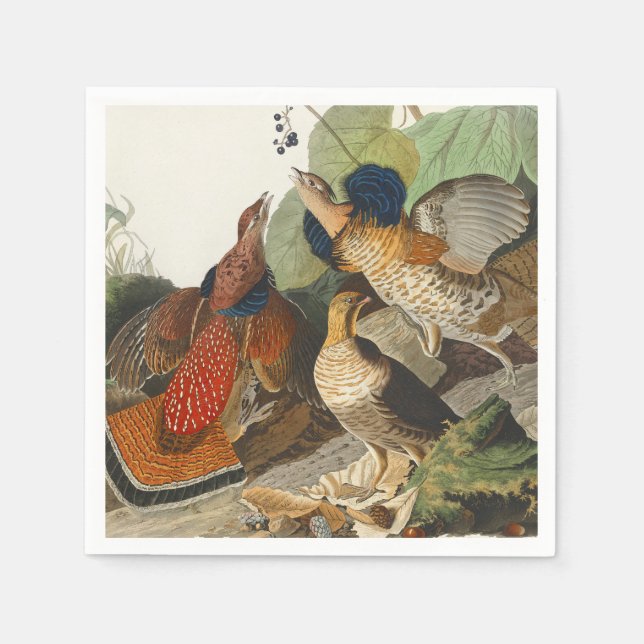 Vintage Audubon skogshöns fågel natur konst Pappersservett (Framsidan)