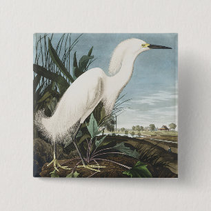 Vintage Audubon Snöhäger Vit Hägrar Fågelkonst Knapp