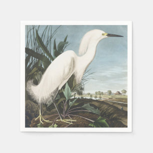 Vintage Audubon Snöhäger Vit Hägrar Fågelkonst Pappersservett