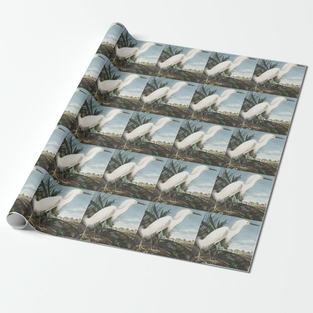 Vintage Audubon Snöhäger Vit Hägrar Fågelkonst Presentpapper (Utrullad)