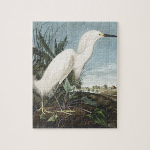 Vintage Audubon Snöhäger Vit Hägrar Fågelkonst Pussel