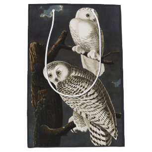 Vintage Audubon Snöuggla Natt Fågel Konst
