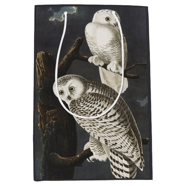 Vintage Audubon Snöuggla Natt Fågel Konst (Framsidan)