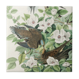 Vintage Audubon Sorgduva Fågel Blomma Konst Kakelplatta