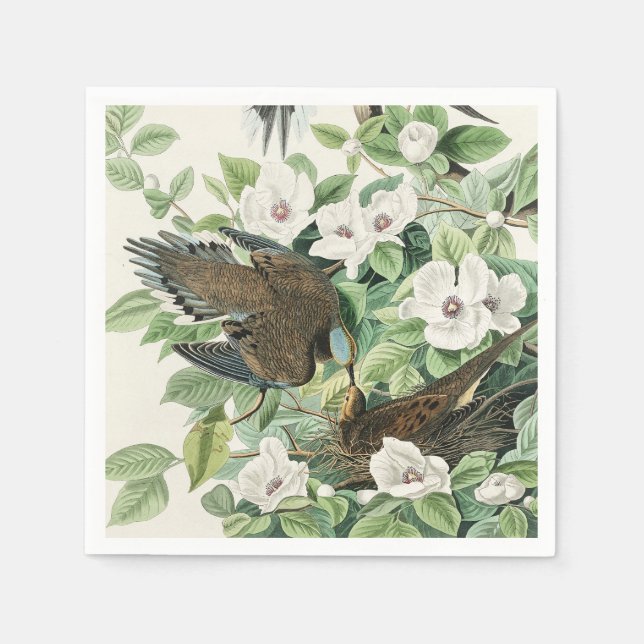 Vintage Audubon Sorgduva Fågel Blomma Konst Pappersservett (Framsidan)