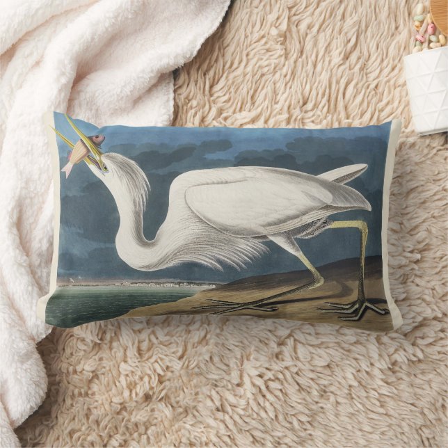 Vintage Audubon Storskarv Fågelkonst Lumbarkudde (Filt)