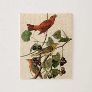 Vintage Audubon Summer Tanager Bird Painting Gift Pussel