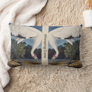 Vintage Audubon Tranan Fågel Natur Konst Lumbarkudde