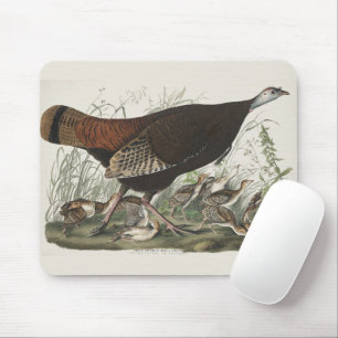Vintage Audubon Vild Kalkonhöna & Ung Konst Musmatta