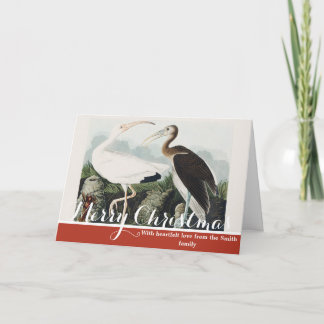 Vintage Audubon Vit Ibis Fågel Natur Konst Helgkort