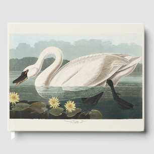 Vintage Audubon White Swan Näckros Art Gästböcker