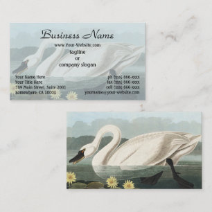 Vintage Audubon White Swan Näckroser Konst Visitkort