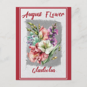 Vintage Augusti Blomma Gladiolus Blomma Vykort