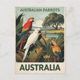 Vintage Australia Parrots Wildlife Vykort