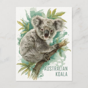Vintage Australian Koala Travel Vykort