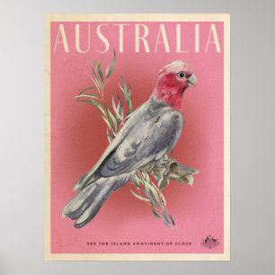 Vintage Australian Parott-reseaffisch Poster