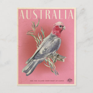 Vintage Australian Parrot Travel Vykort