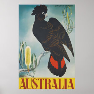 Vintage Australien Resa Poster Svart Kakadua