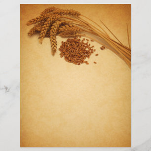 Vintage Autumn Wheat Maj - Letterhead Stationery