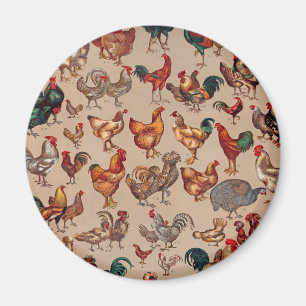 Vintage av av fjäderfä Tupp Chicken land Magnet