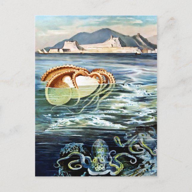 Vintage av bläckfisk och bläckfiskvykort vykort (Framsida)