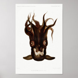 Vintage av bläckfisk/oktopus-illustration poster