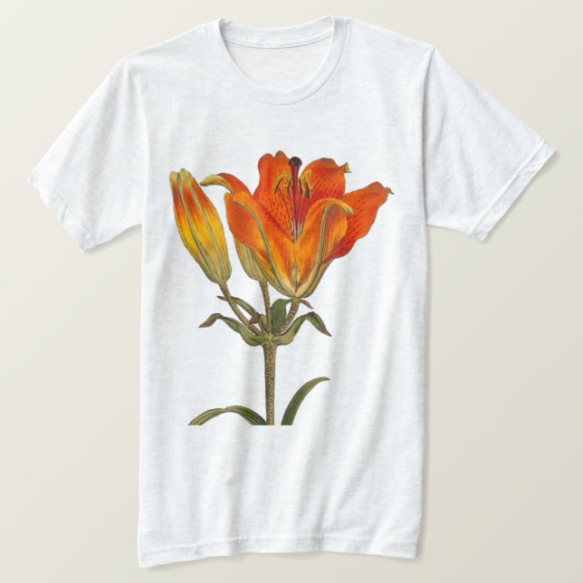 VINTAGE AV BOTANISK ILLUSTRATION AV LILITER T SHIRT (Design framsida)