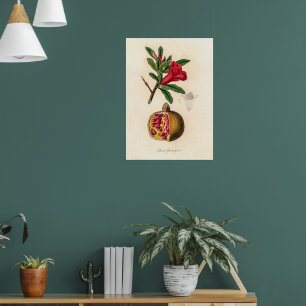 Vintage av granatgranat poster