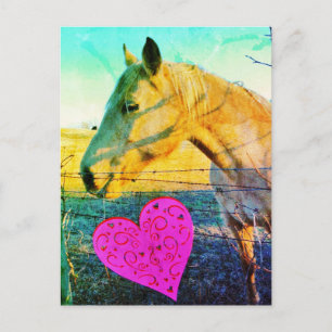Vintage av hästvalentin vykort
