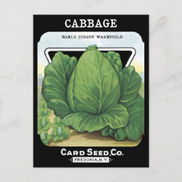 Vintage av kål Utsäde Packet Vegetable Leafy Grönt Vykort