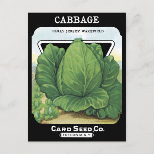 Vintage av kål Utsäde Packet Vegetable Leafy Grönt Vykort