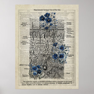 Vintage av lexikonartikel för Skin Anatomy Blue B Poster