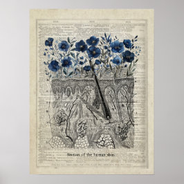 Vintage av lexikonartikel för Skin Anatomy Blue B Poster