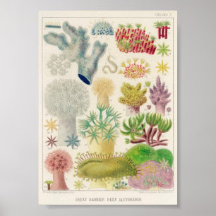 Vintage av marin livsmiljö poster